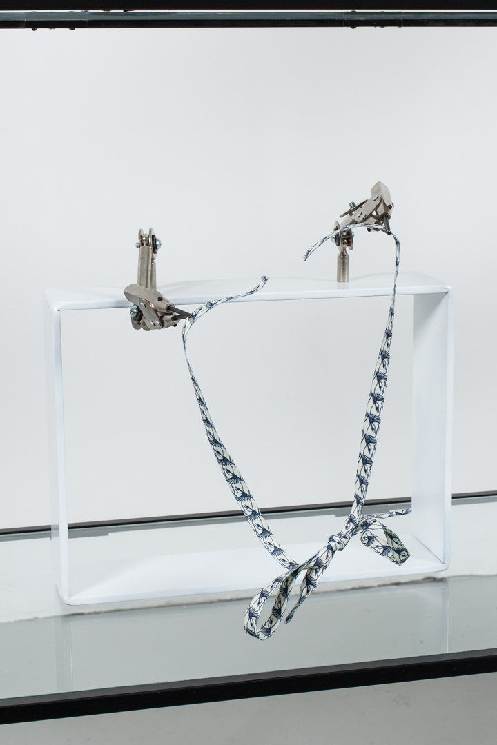 Alex Chitty; Of Wood and Other Bodies Petrified (unit 1); 2013