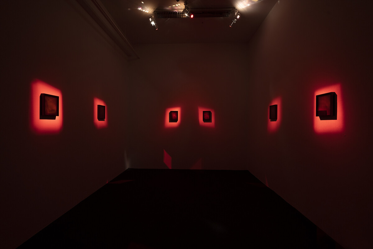 Brittany Nelson; Tiptree’s Dead Birds; 2019