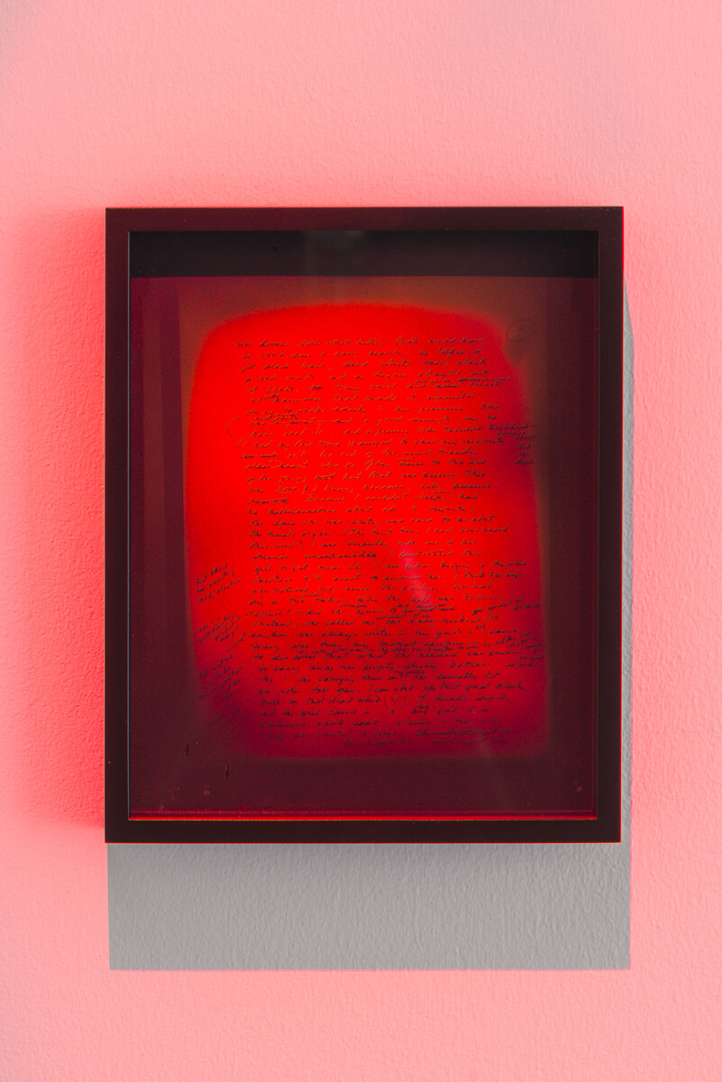 Brittany Nelson; Tiptree’s Dead Birds; 2019