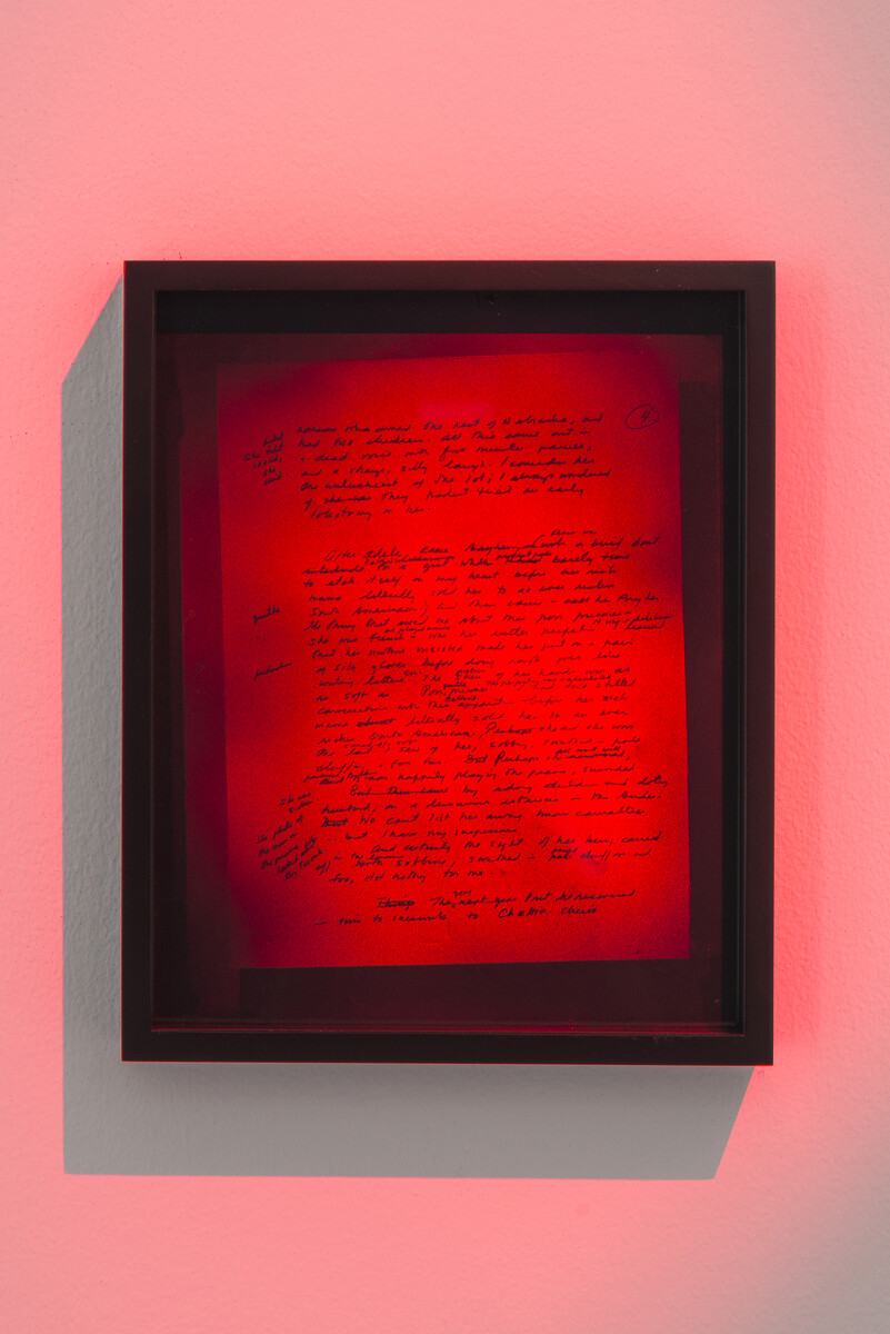 Brittany Nelson; Tiptree’s Dead Birds; 2019