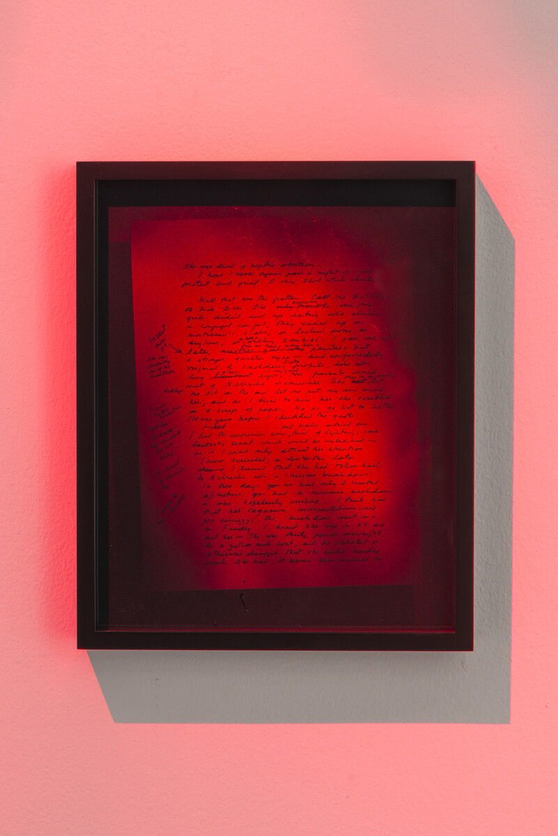 Brittany Nelson; Tiptree’s Dead Birds; 2019