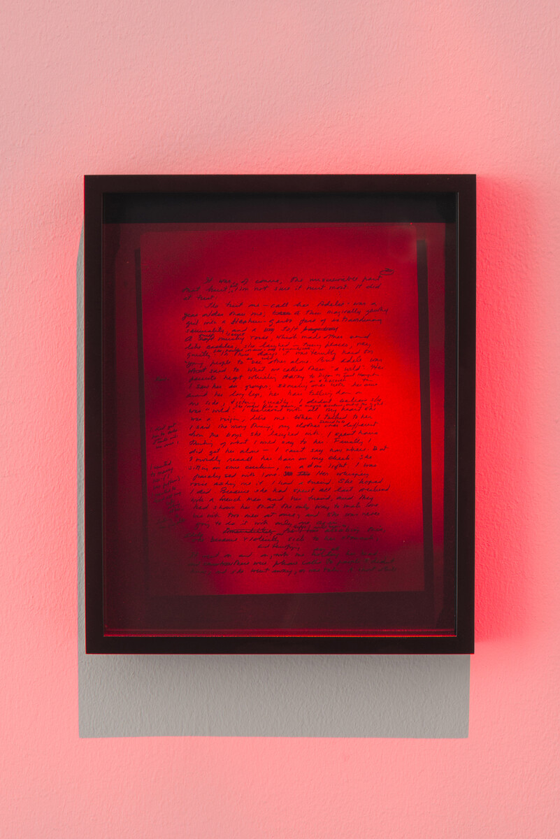 Brittany Nelson; Tiptree’s Dead Birds; 2019