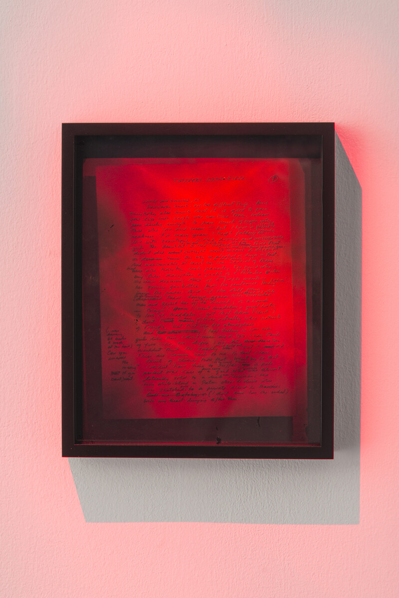Brittany Nelson; Tiptree’s Dead Birds; 2019