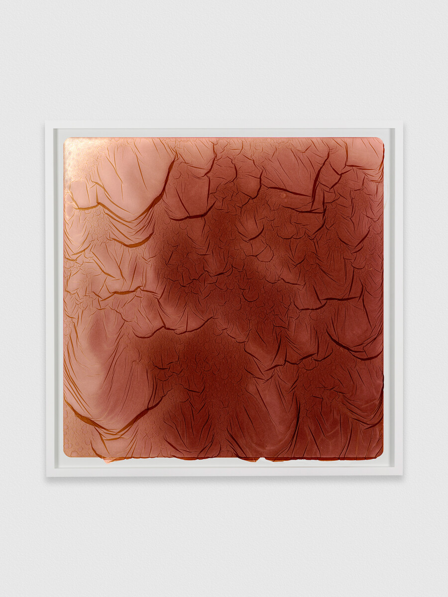 Brittany Nelson; Gelatin Silver 17; 2023