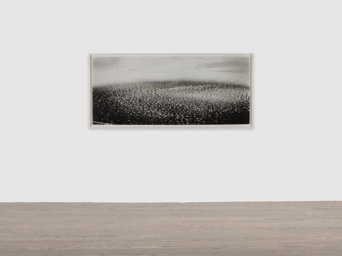 Brittany Nelson; Solaris Ocean #2; 2023
