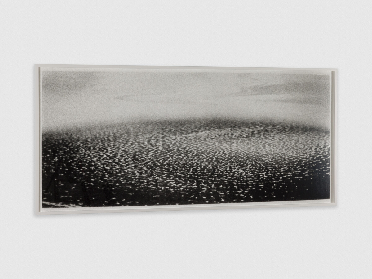Brittany Nelson; Solaris Ocean #2; 2023