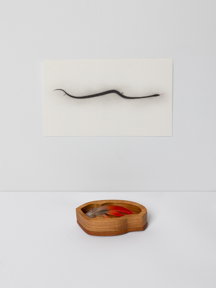 Alice Tippit; Wound; 2024