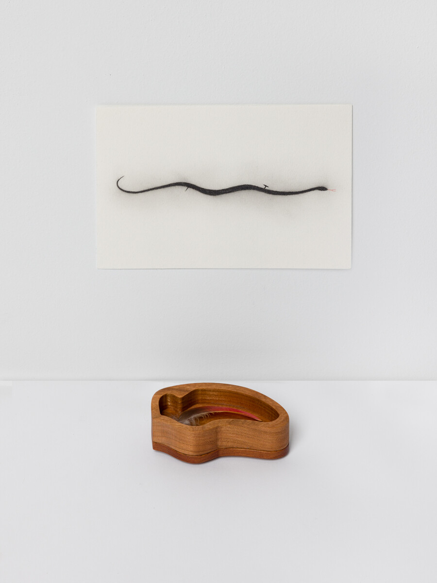 Alice Tippit; Wound; 2024