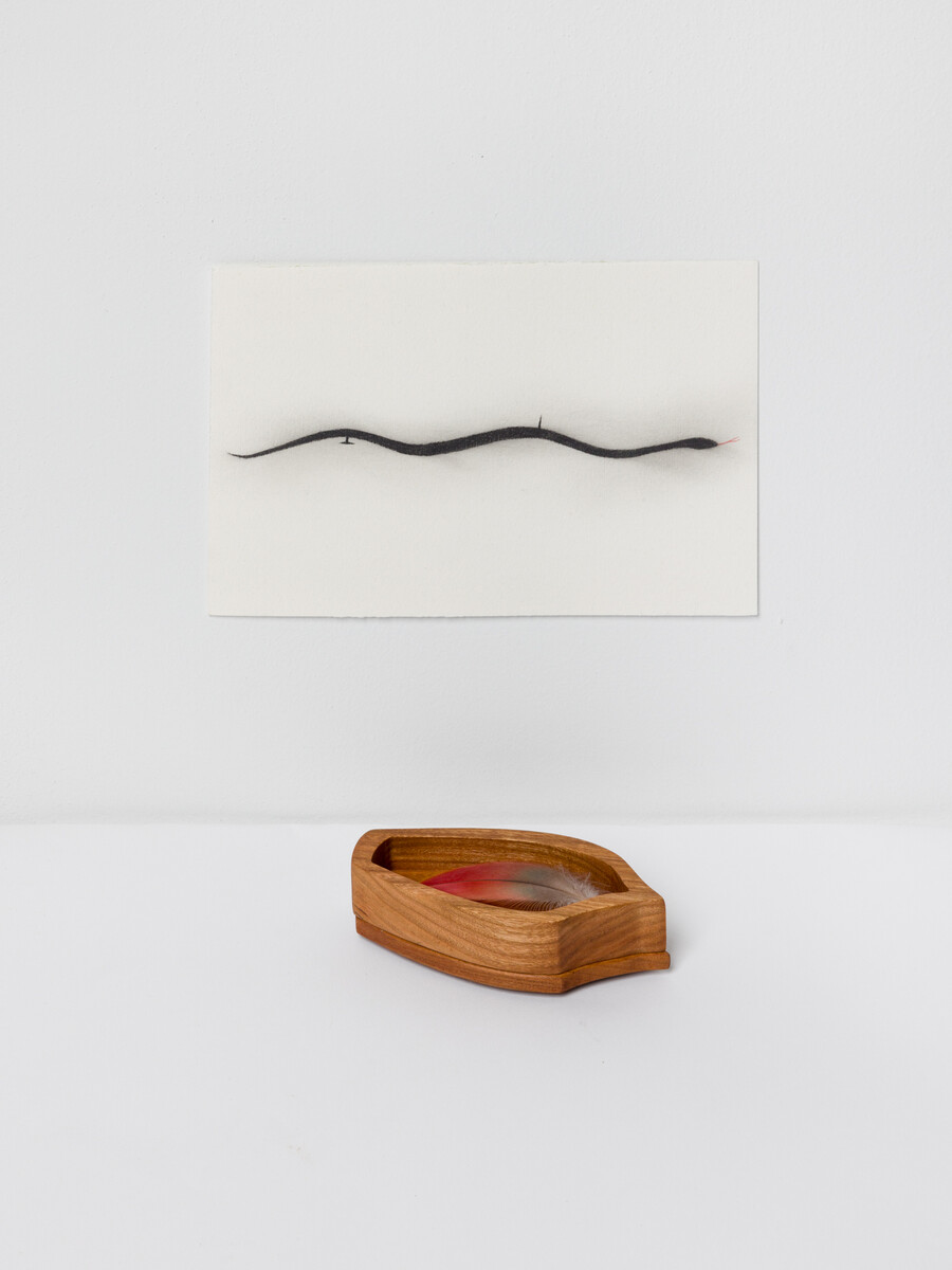 Alice Tippit; Wound; 2024