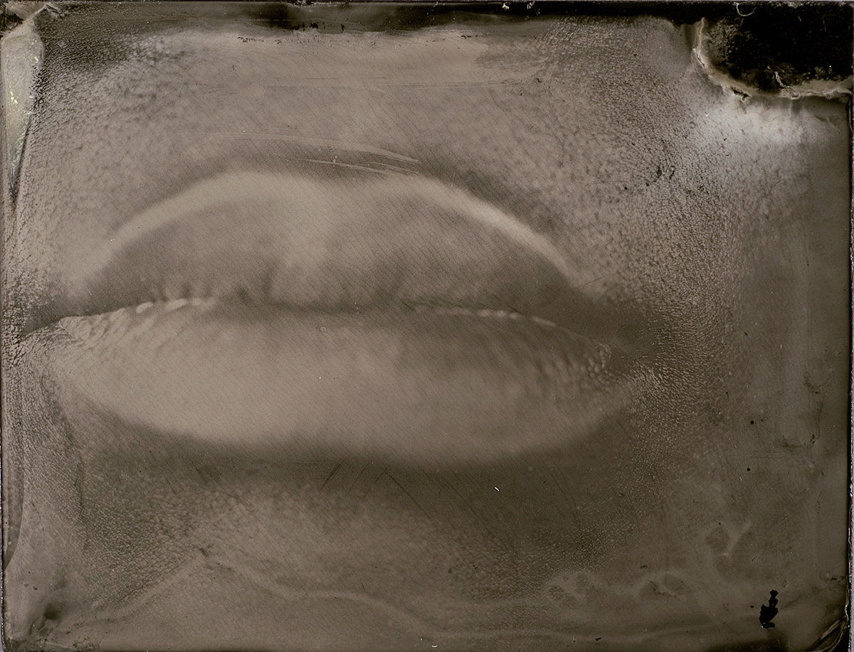 Myra Greene; Untitled (Ref. #23) from Character Recognition; 2006-2007