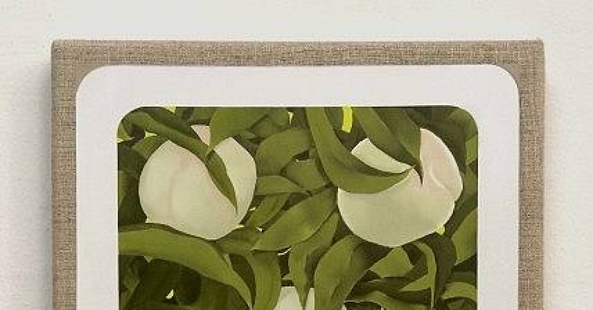 Artist of the Week: Mika Horibuchi