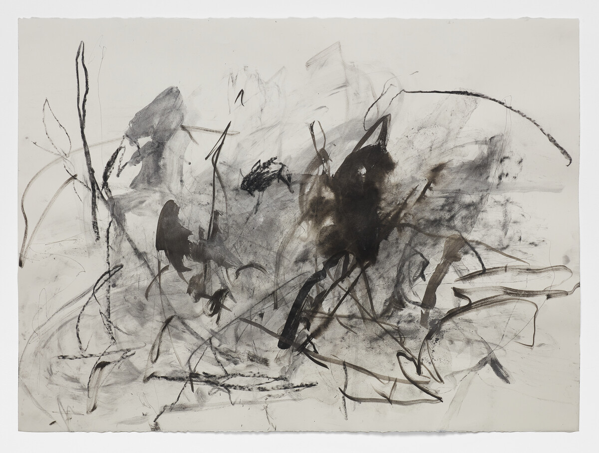 Lindsay Adams; Untitled (The Site of Memory, Morrison) #6; 2025