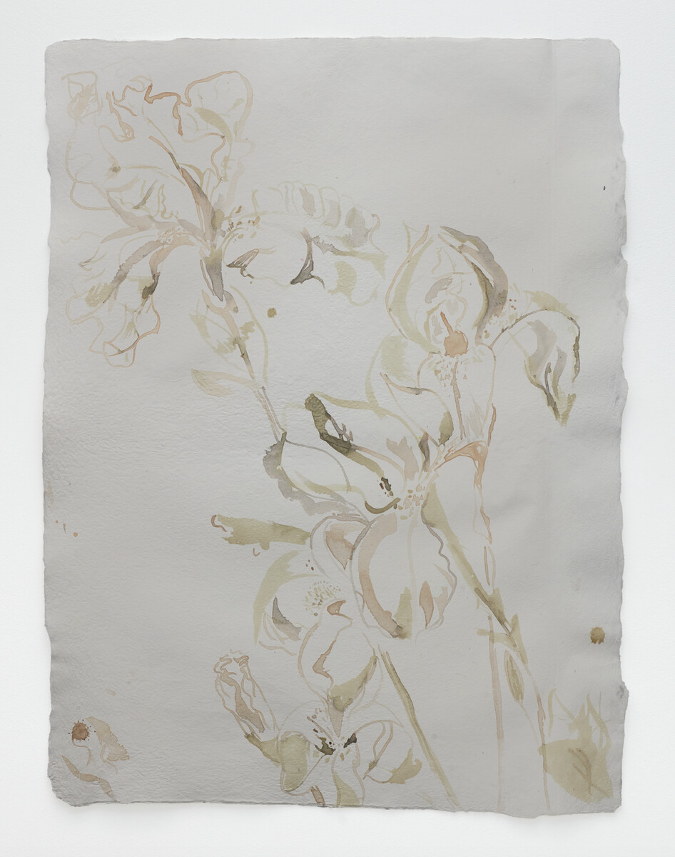 Alex Chitty; Two People Drawing Together - Iris (Danny Shapiro) II; 2025