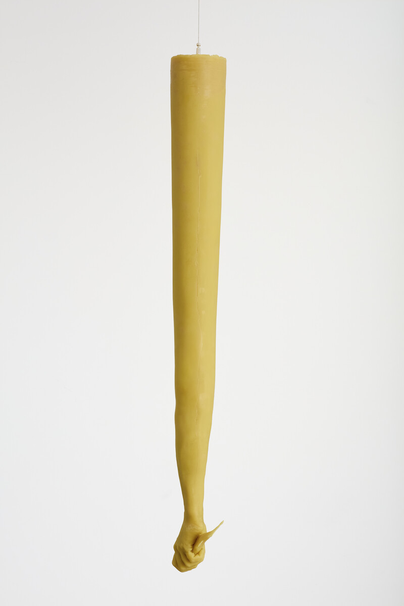 Daniel G. Baird; Lacuna; 2025