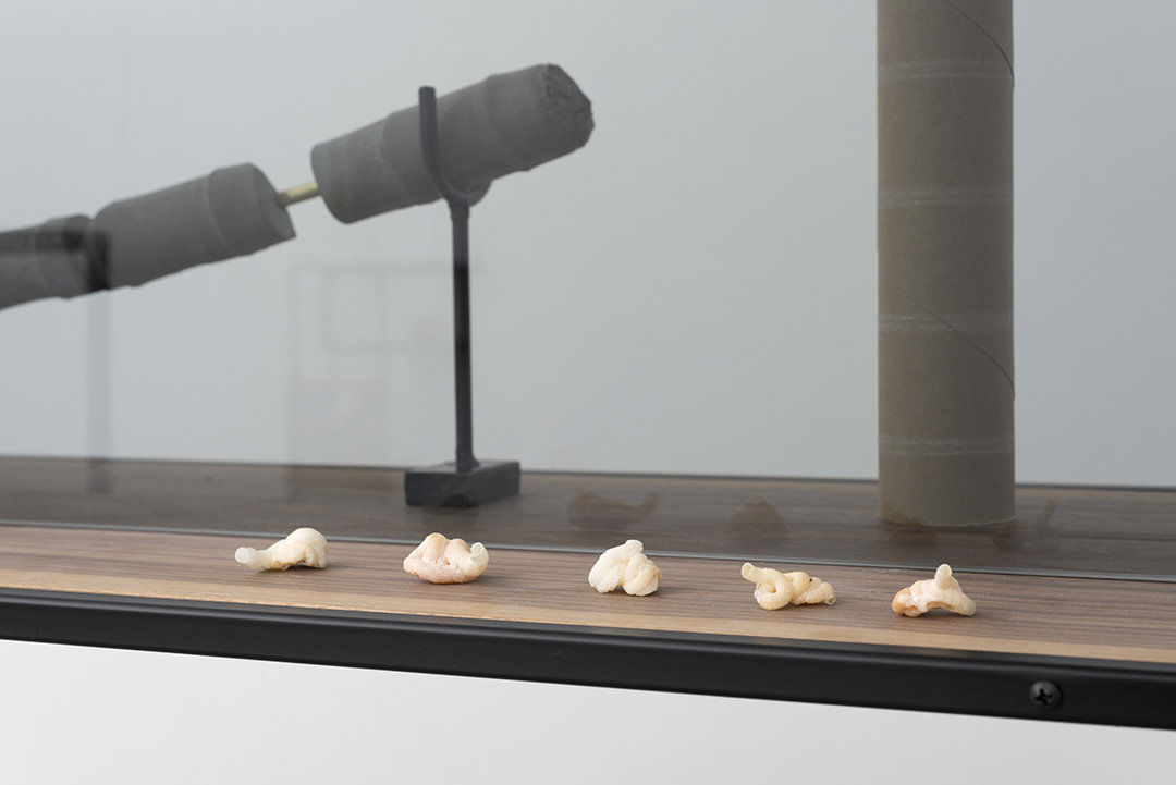 Alex Chitty; the sun-drenched neutral that goes with everything (unit 1); 2015-2016