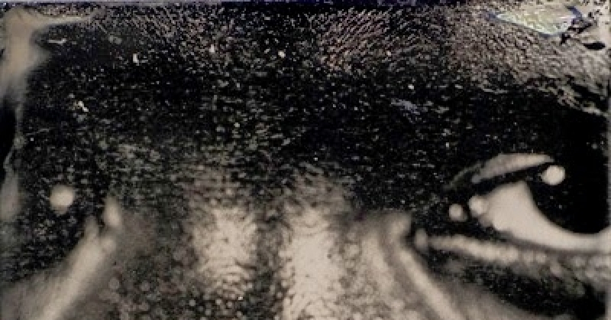 Photographer Interview: Myra Greene