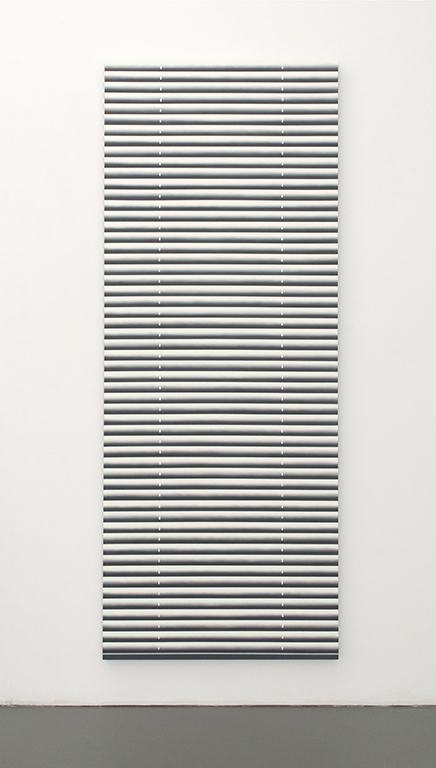 Mika Horibuchi; Screen Door; 2015