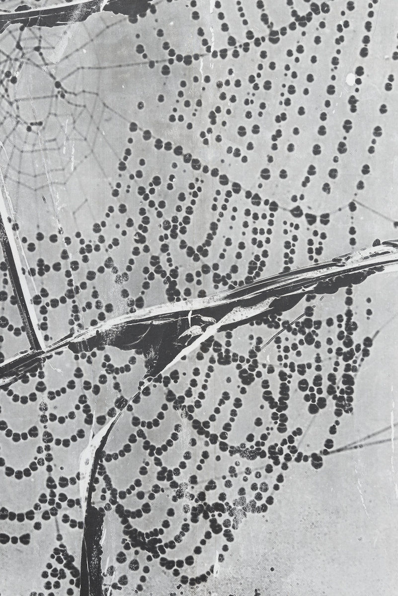 Harold Mendez; At night we walk in circles; 2016