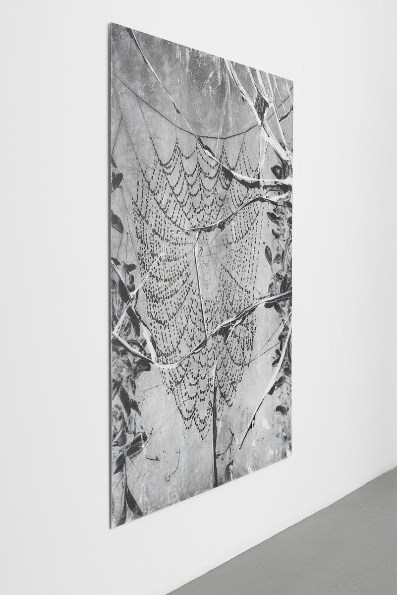 Harold Mendez; At night we walk in circles; 2016