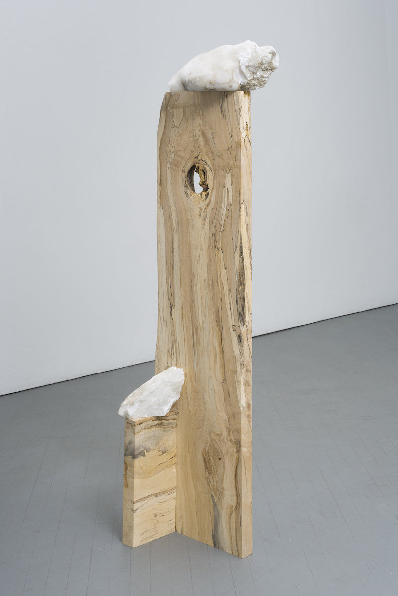 Bryan Savitz; which wills; 2017