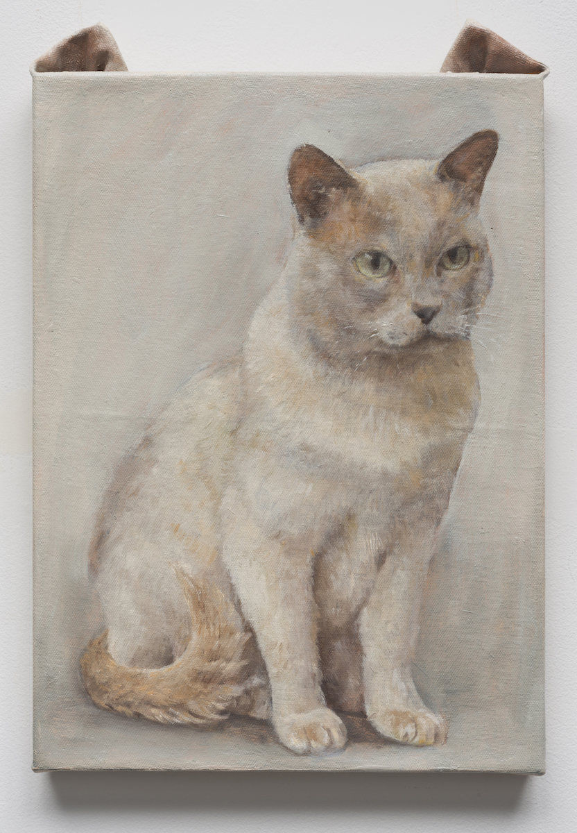 Ryosuke Kumakura; cat; 2017
