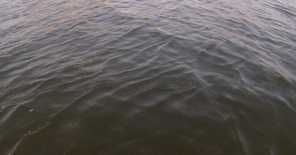 Sifting Through the Waves of Time