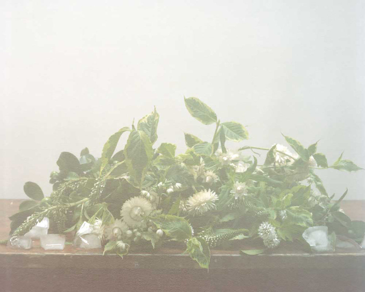 Melanie Schiff; Birthday Flowers; 2016