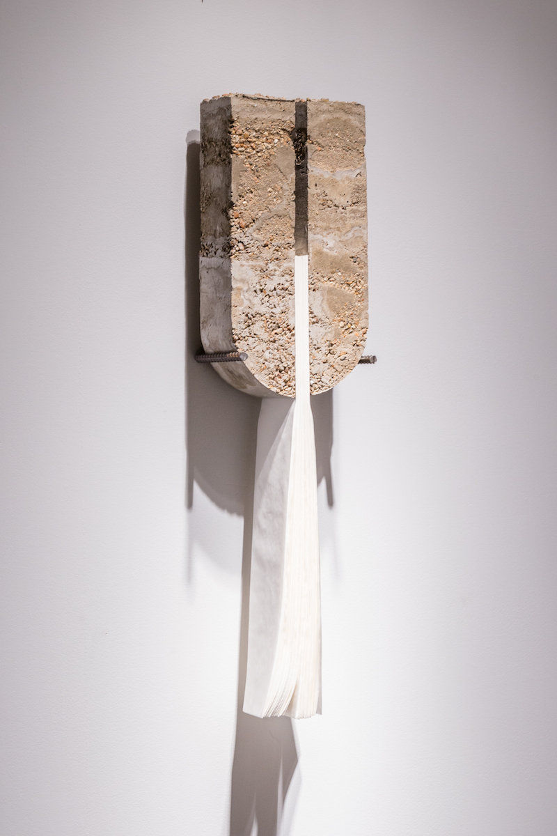 Lucas Simões; abismo no. 79; 2017