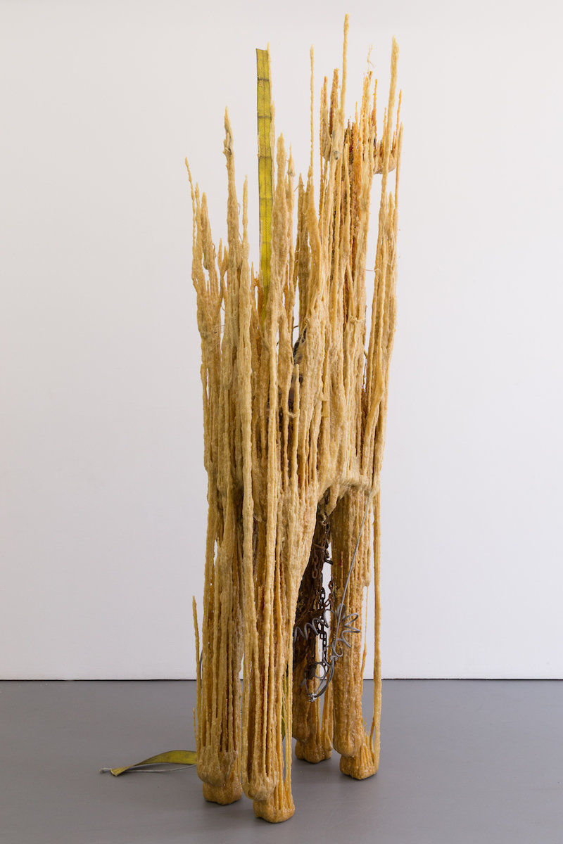 Nick van Woert; Horror Vacui (animal); 2017