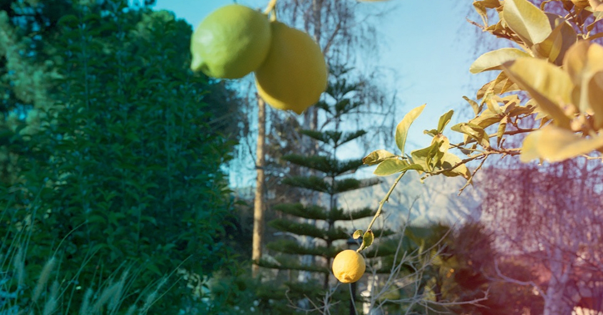 CHICAGO: Melanie Schiff: “Sun Land" at Kavi Gupta Gallery