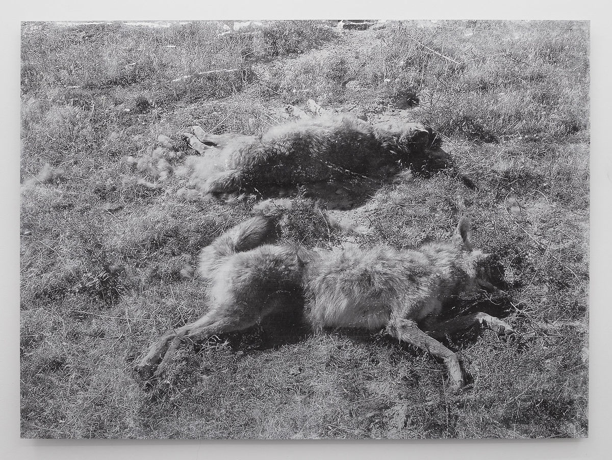 Harold Mendez; Two Dead (Spiral Jetty); 2017