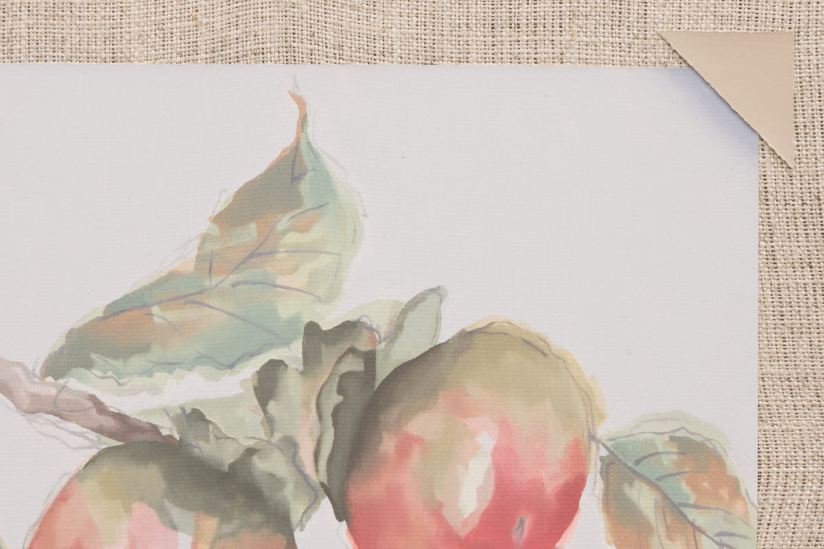 Mika Horibuchi; Watercolor of Persimmons; 2017