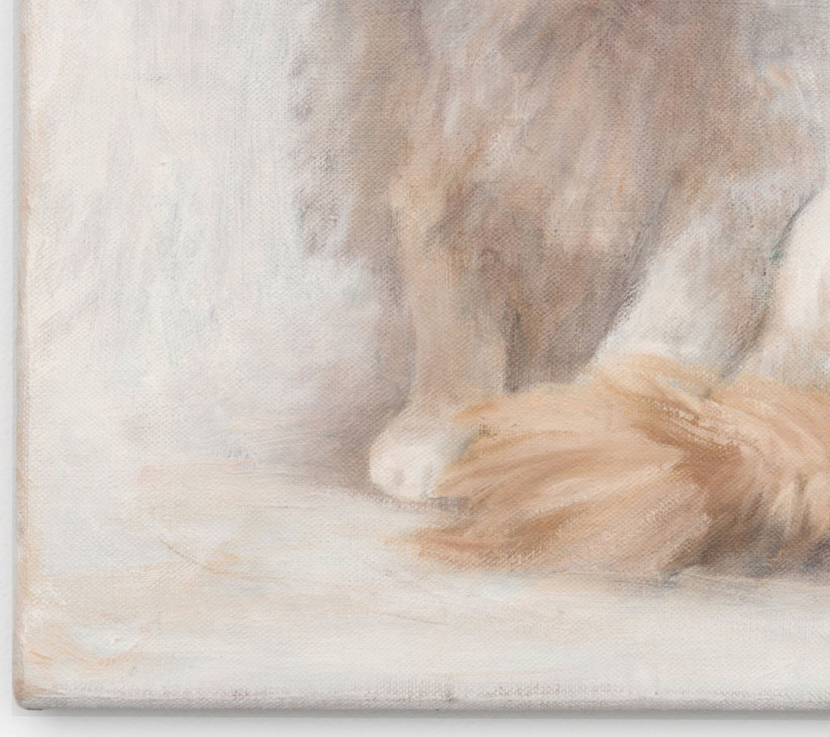 Ryosuke Kumakura; Cat; 2018