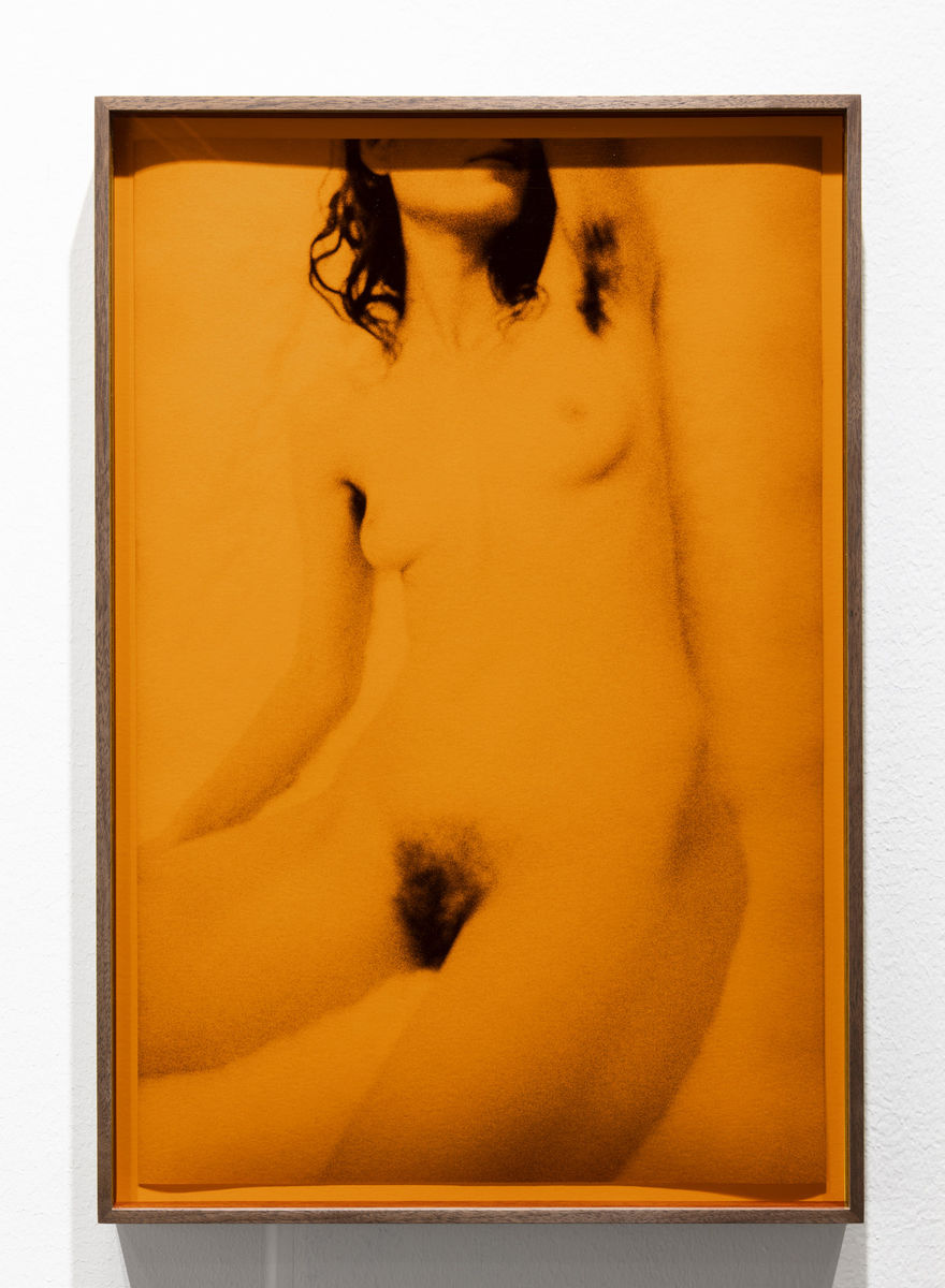 Melanie Schiff; Zumi Soft; 2018