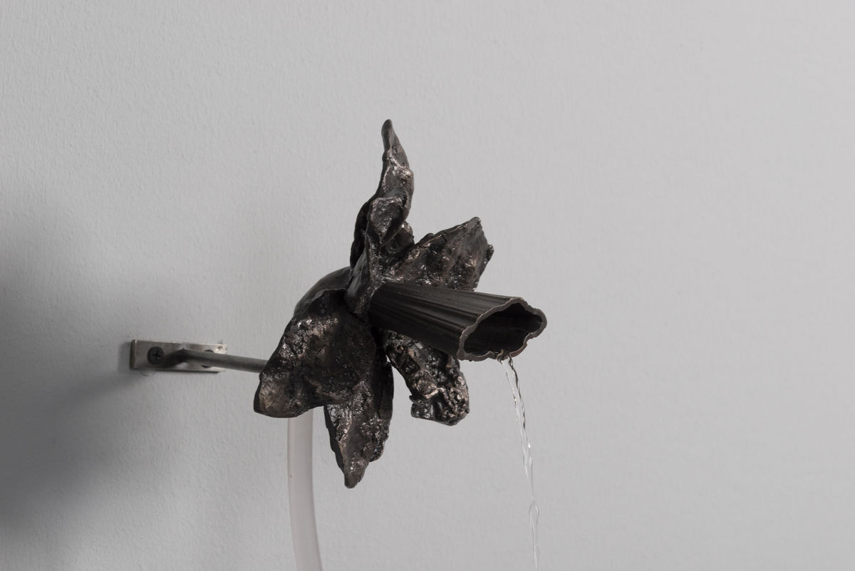 Daniel G. Baird; murmur IX; 2019