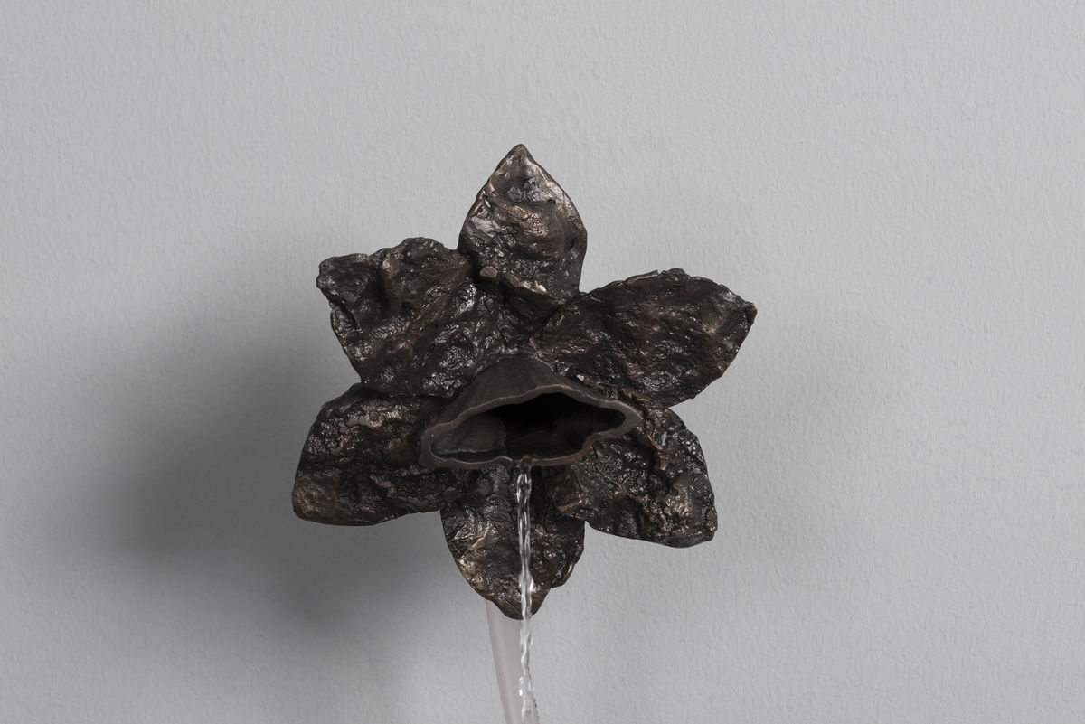 Daniel G. Baird; murmur IX; 2019