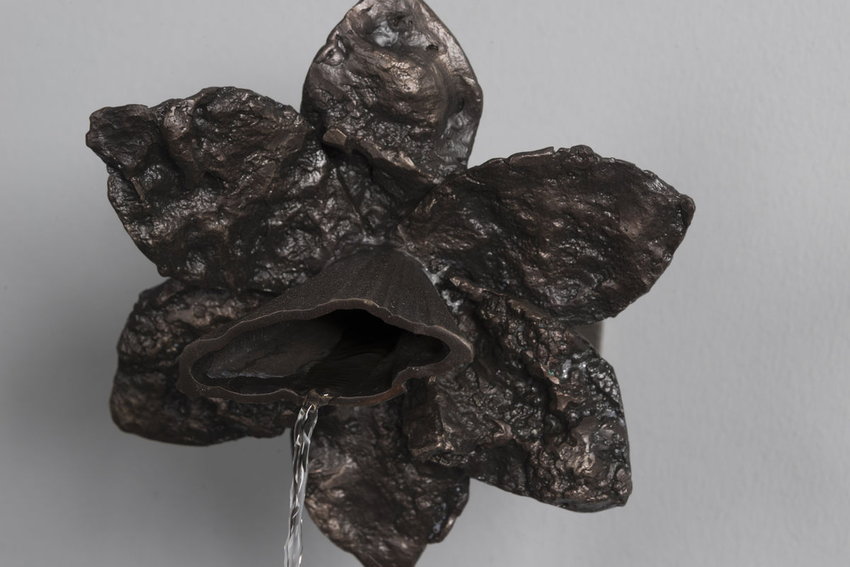 Daniel G. Baird; murmur IX; 2019