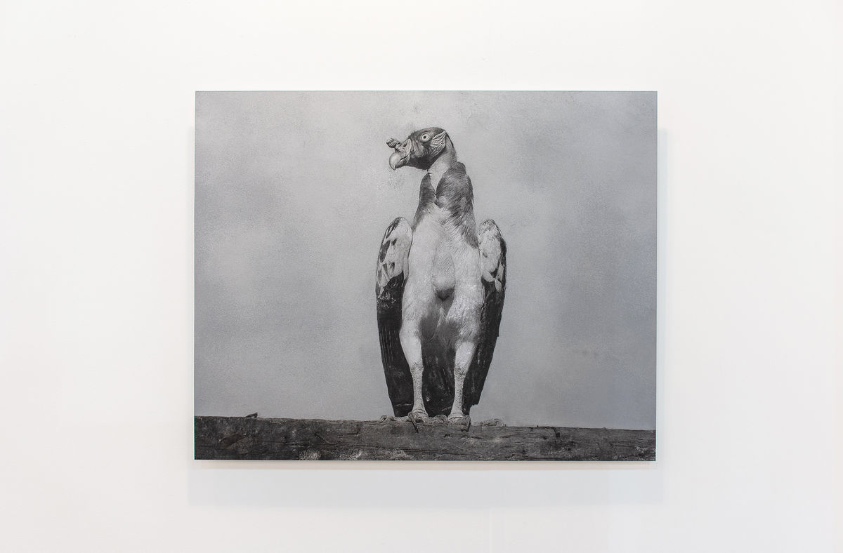 Harold Mendez; Untitled; 2018