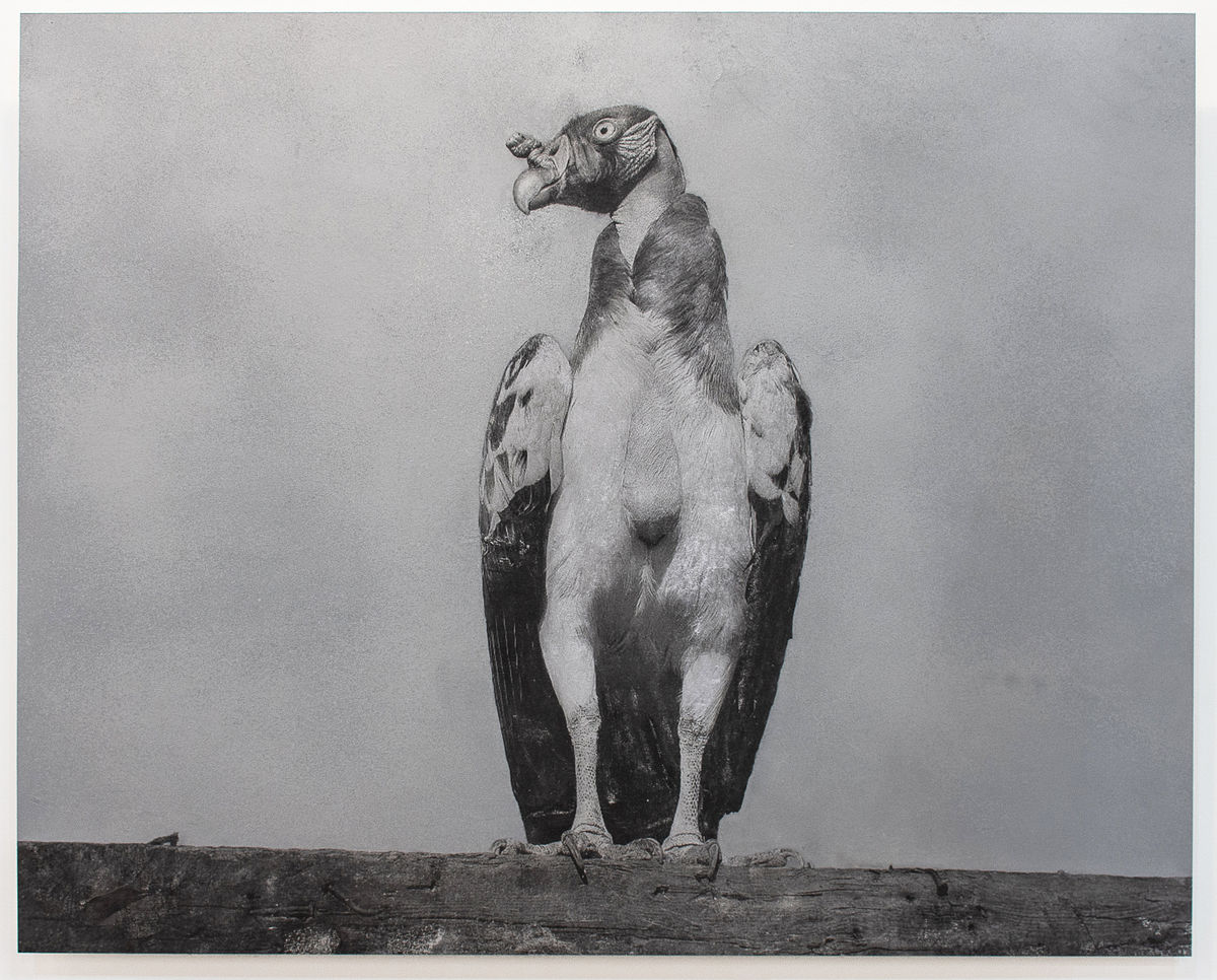 Harold Mendez; Untitled; 2018