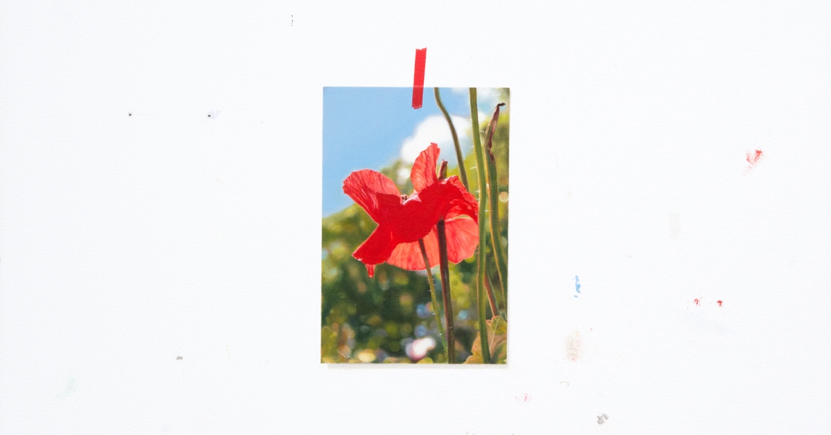Reviews in Brief: Anna Plesset at Untitled