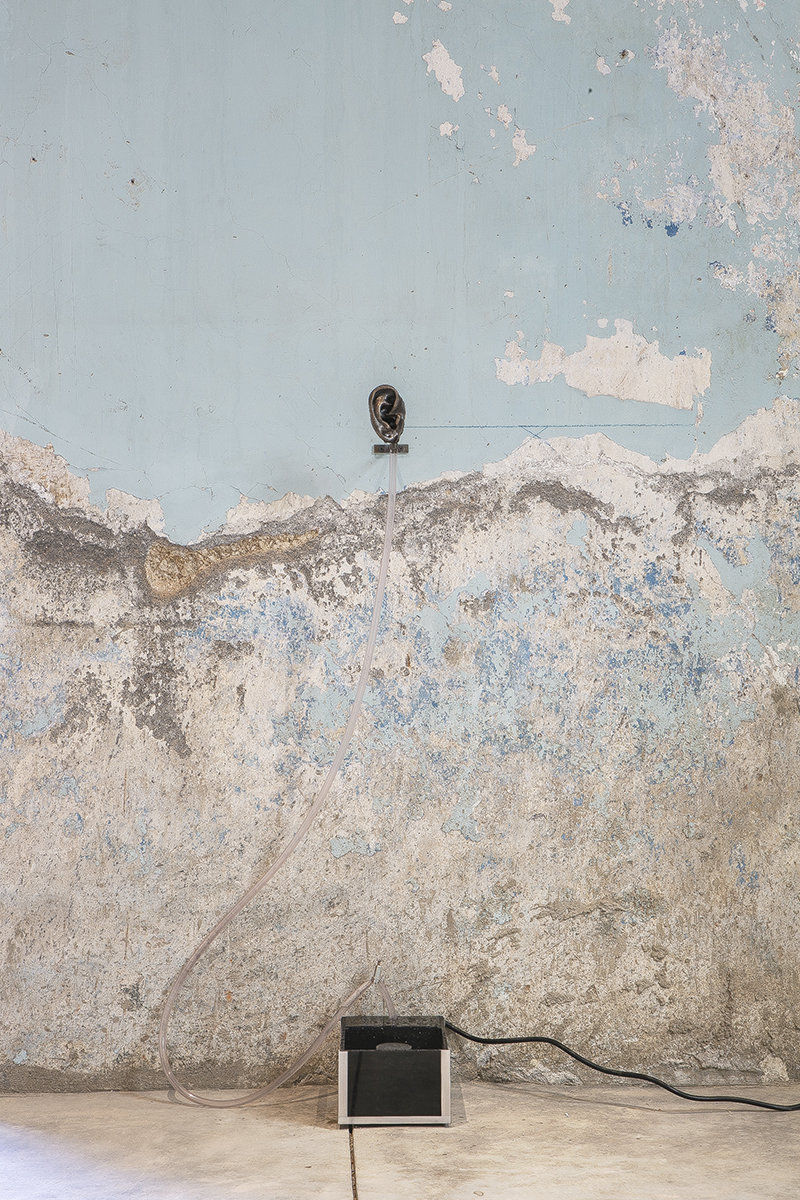 Daniel G. Baird; Echo (Right); 2019