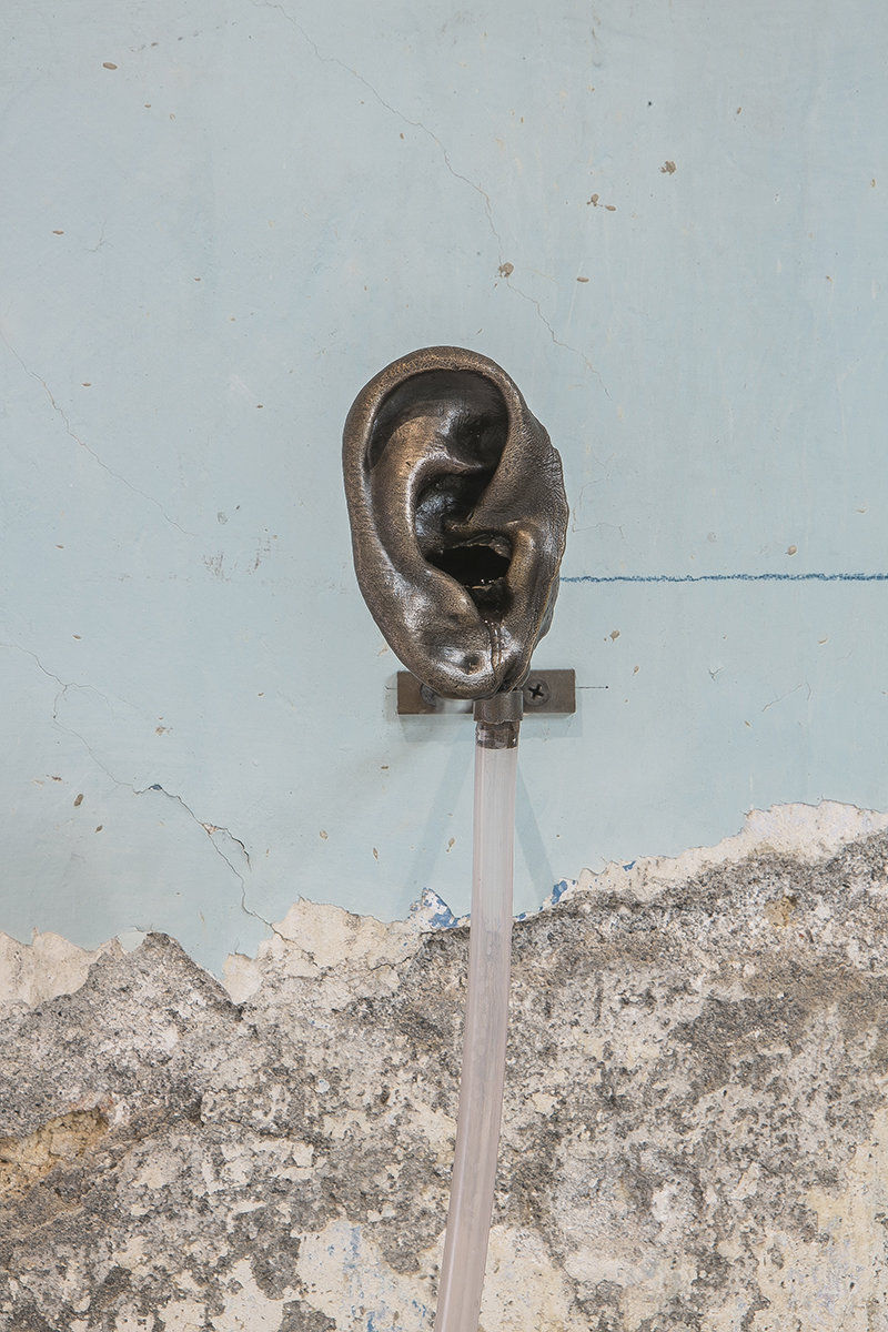 Daniel G. Baird; Echo (Right); 2019