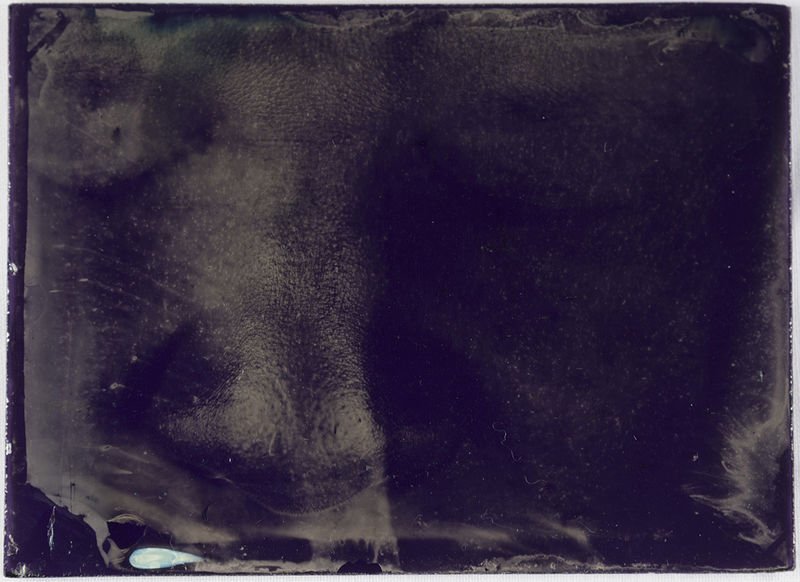 Myra Greene; Undertone #69; 2017-2018