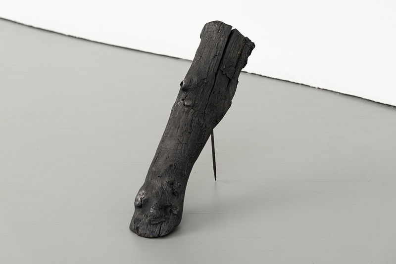Harold Mendez; Comma; 2019