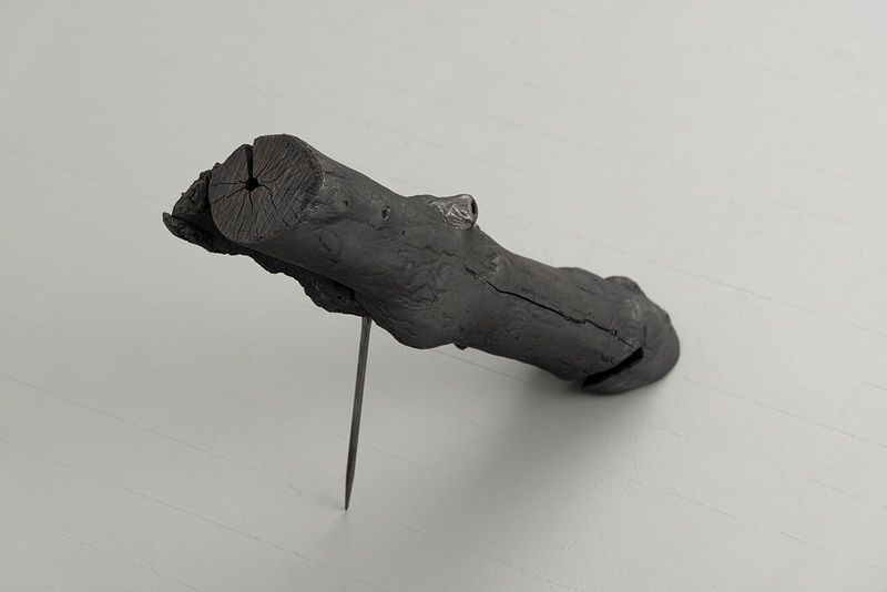 Harold Mendez; Comma; 2019