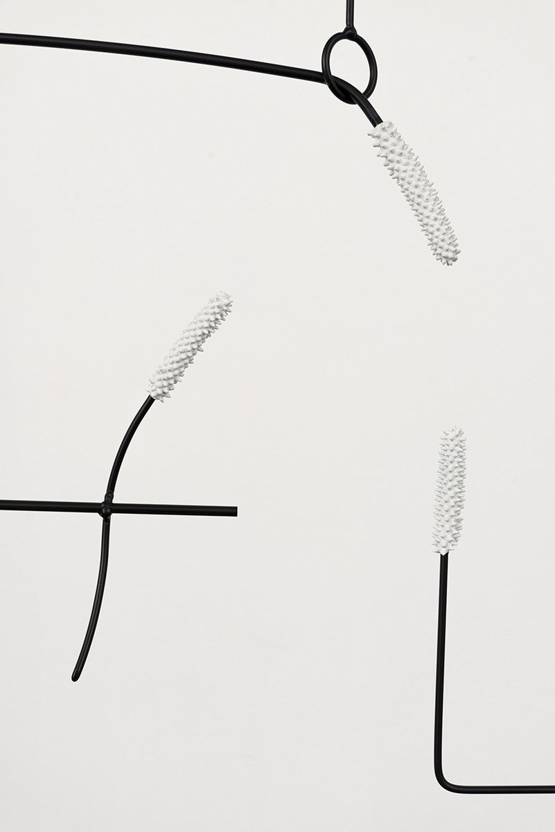 Alex Chitty; Linnet I; 2019