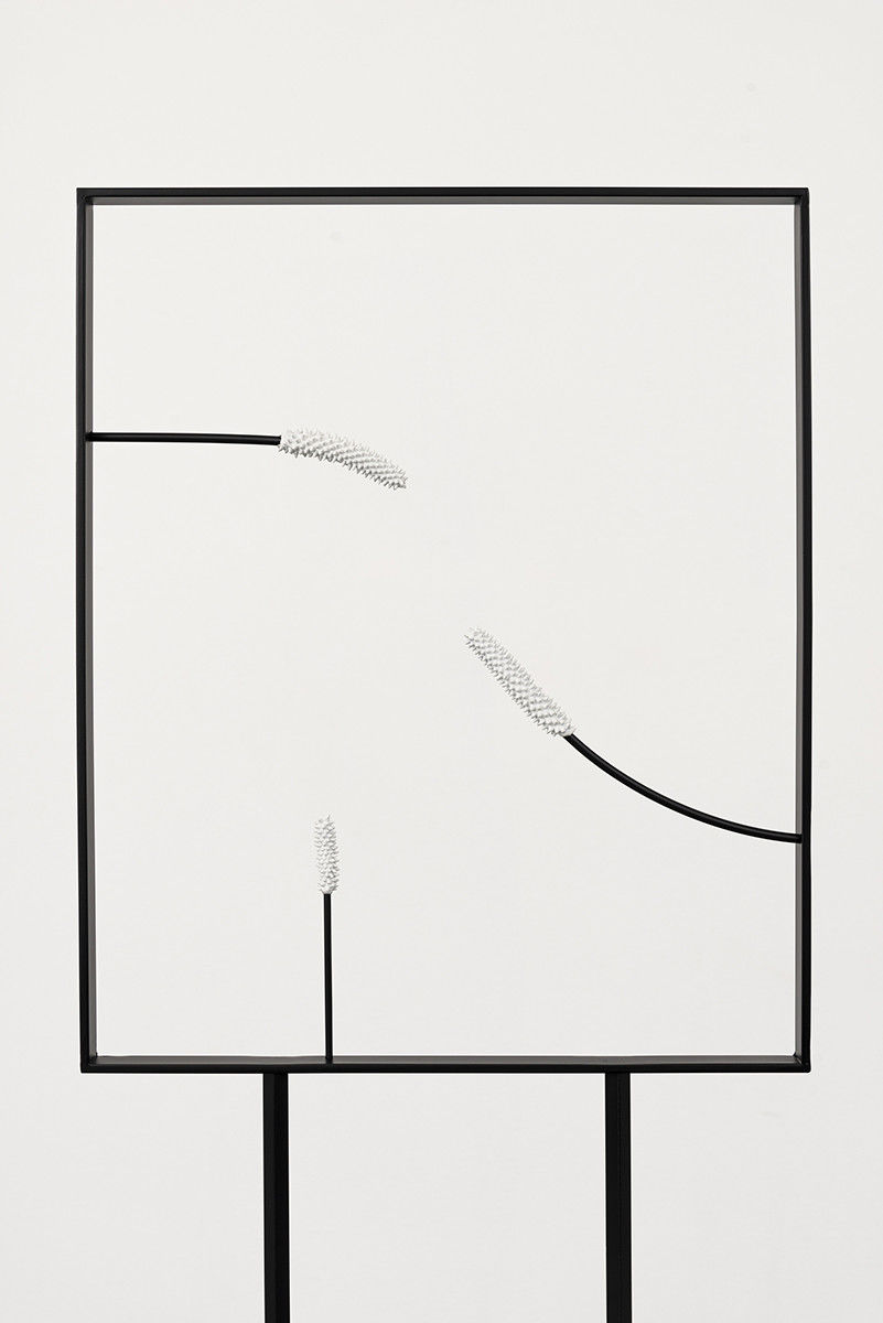 Alex Chitty; Linnet II; 2019