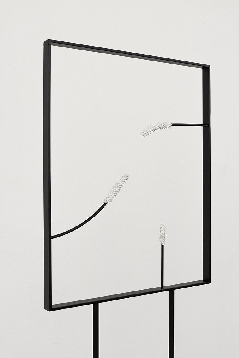Alex Chitty; Linnet II; 2019