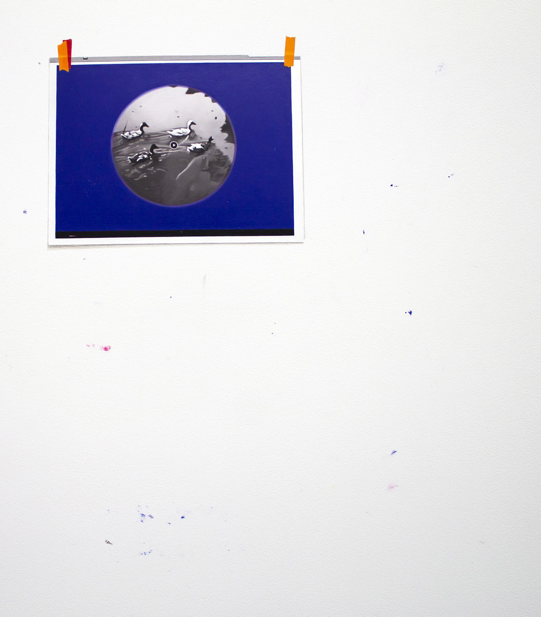 Anna Plesset; Prologue (Iris In); 2018