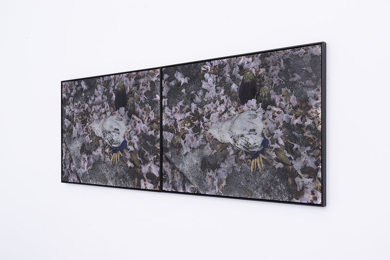 Harold Mendez; The days of yesterday are all numbered in sum; 2019